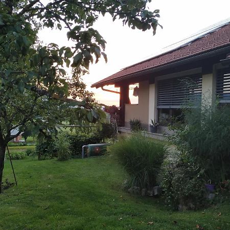 Appartamento Eko Kmetija Gerbec Grahovo Esterno foto